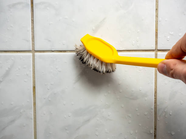 Best Mold Testing  in Oreana, IL