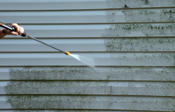 Best Water Damage Restoration  in Oreana, IL
