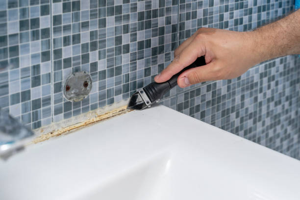 Best Attic Mold Removal  in Oreana, IL