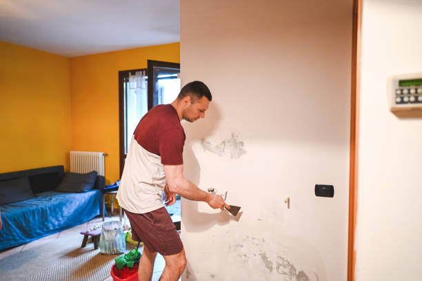 Best Commercial Mold Removal  in Oreana, IL